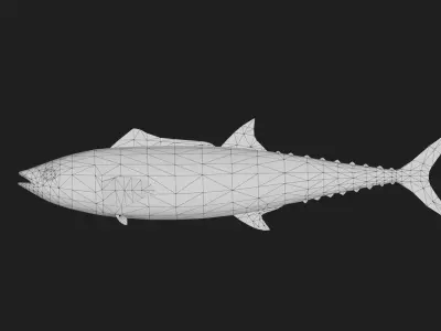 Mackerel Low-poly 3D model purchase