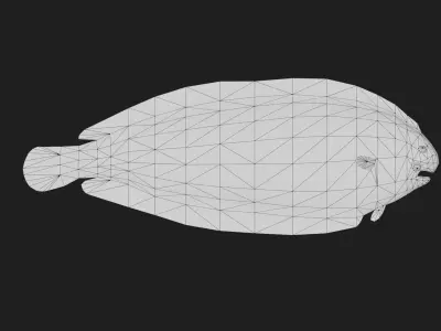 Flatfish Low-poly 3D model get