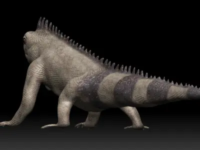 Iguana Lizard Low-poly 3D model
