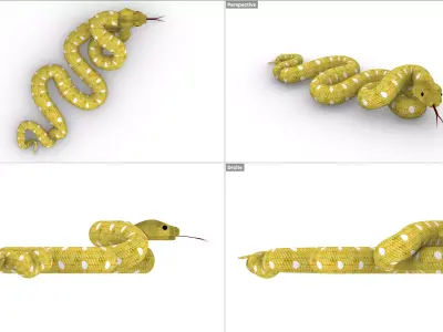 Snake yellow Serpent jaune 3D model