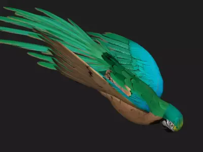 Parrot A5 Free 3D model