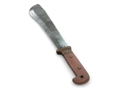 Old Wood Handle Machete Low-poly 3D model
