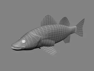 Zander bass fish Low-poly 3D model