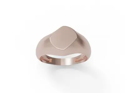 Signet ring unisex model  3D print model