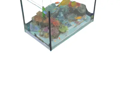 Aquarium Low-poly 3D model