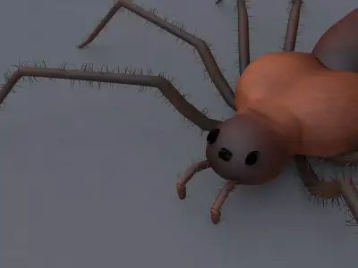 Spider 3d Model Low-poly 3D model purchase