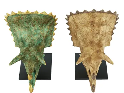 Triceratops skull 3D model purchase