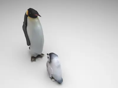 Penguins 3D model