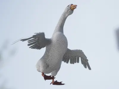 Goose  Low-poly 3D model
