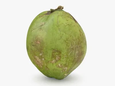 Green Coconut Collection 1 3D model