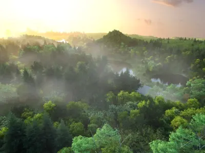  River Stream water Wetland 