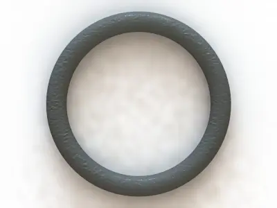 O Ring Vedabras 12538 3D model