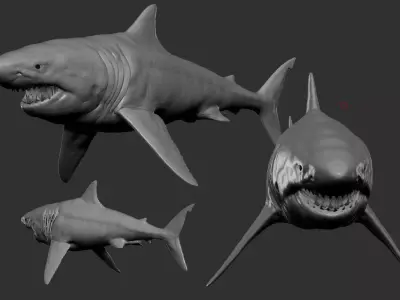 Great White Shark Low-poly 3D model buy