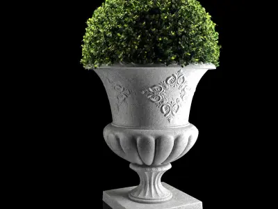 Plant Collection 04 3D model