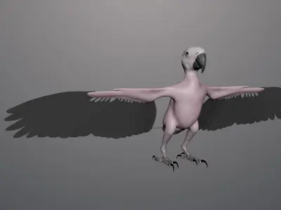 Realistic 3D model of Macaw with texture pack 3D model