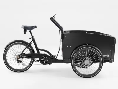 3D Model of Cargobike DeLight Low-poly 3D model