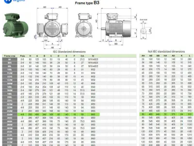 250M B3 Left 4-8 Pole IEC electric motor - 3D CAD model 3D model