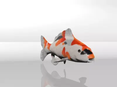 Koi Fish 3D model buy
