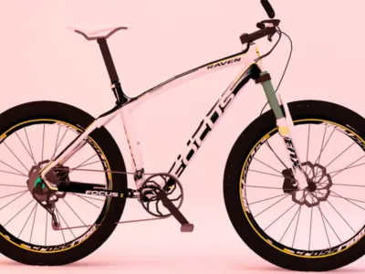 Mountain bike 3D model purchase