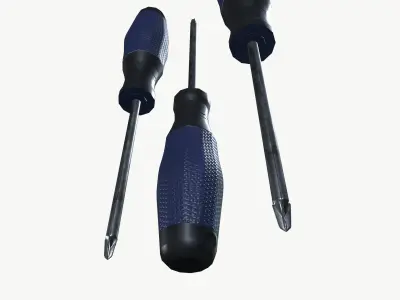 Screw Driver 3D model buy