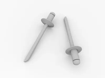 Rivet pair of silver nail pins 3D model