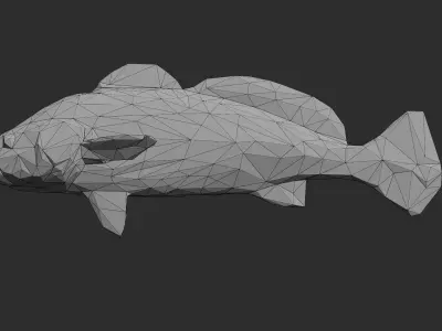 Low Poly Black Jewfish Low-poly 3D model