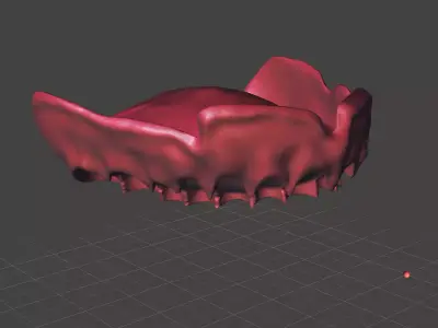 MODELS FULL DENTURE UPPER 3D print model