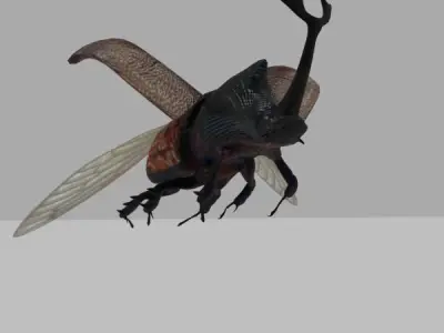 Rhinoceros Beetle Low-poly 3D model purchase