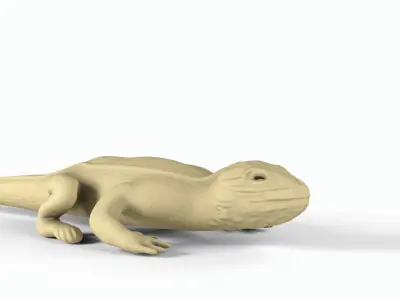 Bearded dragon Low-poly 3D model