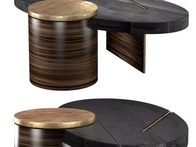 PRIMAL COFFEE TABLE 3D model