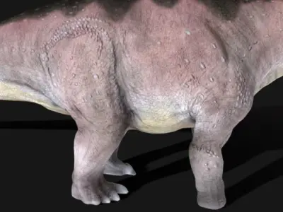 Sauropod Dinosaur Apatosaurus ajax Low-poly 3D model