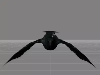 crow v1 animal Low-poly 3D model