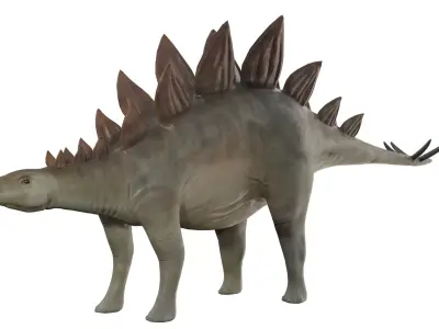 Stegosaurus Low-poly 3D model buy