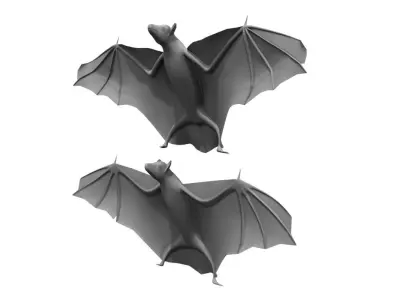 bat 3d model two bats flying 3D model