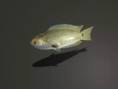 Fish 3D Free low-poly 3D model