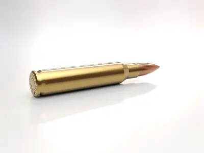 223 cartridge 3D model