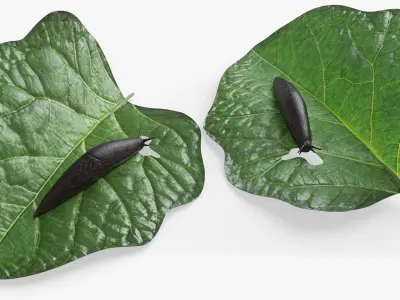  Slug on Foliage Leaf For Blender 