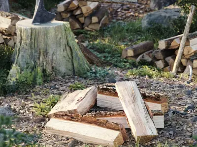 Split Oak Firewood Models Collection 