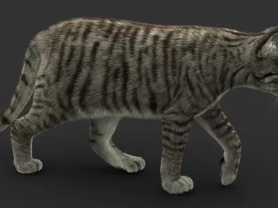 Cat (2) (Mackerel Tabby) (FUR) 3D model