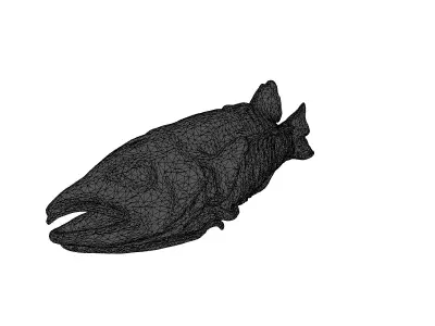 Realistic Dried Fish 3D Model Low-poly 3D model