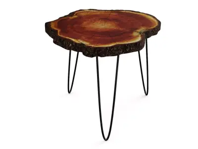 Tree Trunk Rustic Coffee Table 3D model