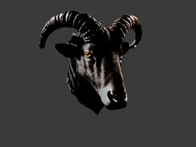 Animal Head Low-poly 3D model 16