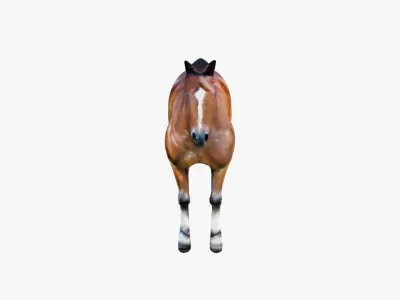 Horse Free 3D model purchase