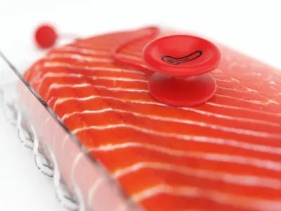 Salmon fillet 3D model buy