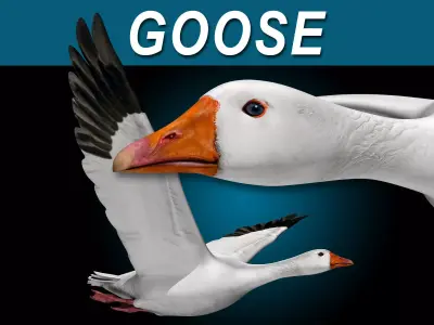 Goose 3D model buy