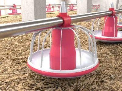 Poutry farm feeder drinker sawdust 3D model