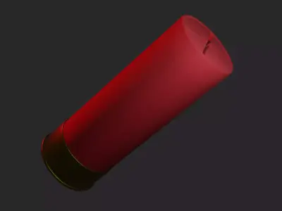 Shotgun Shells 3D model