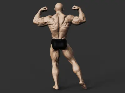 Bodybuilder 3D print model shop