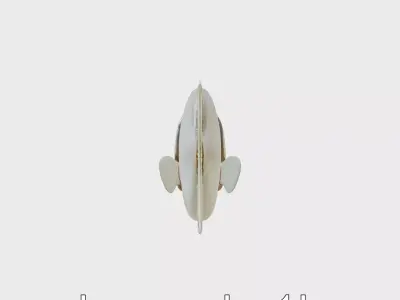 Barreleye Fish 3D Model with Transparent Head Low-poly 3D model