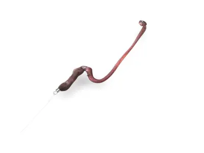 Hookworm 3D model